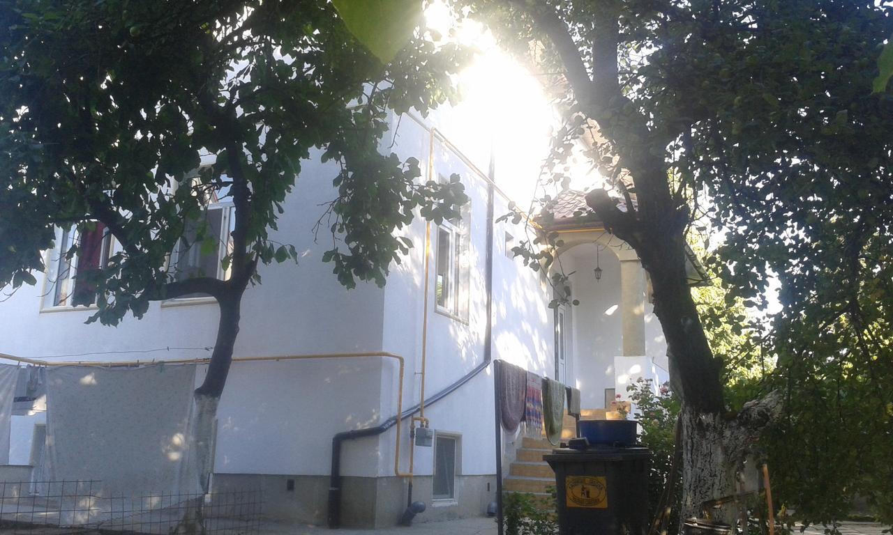Alfredo Hostel 克拉奥华 外观 照片